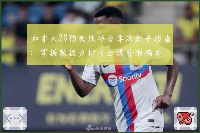 加拿大28预测技巧分享及新手指南：掌握数据分析方法提升准确率