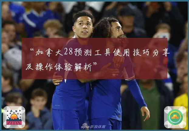 “加拿大28预测工具使用技巧分享及操作体验解析”