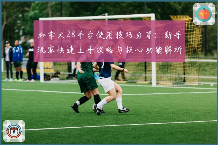 加拿大28平台使用技巧分享：新手玩家快速上手攻略与核心功能解析