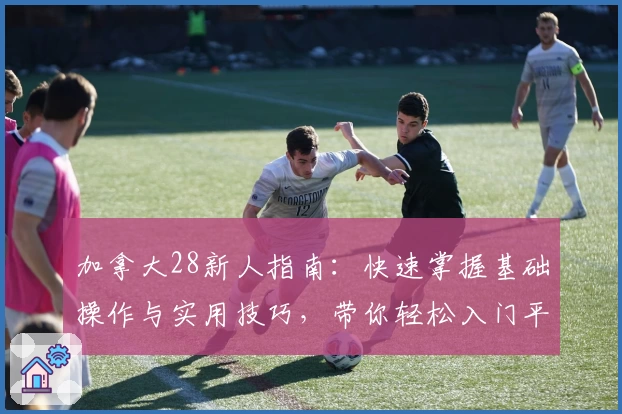 加拿大28新人指南:快速掌握基础操作与实用技巧,带你轻松入门平台核心功能