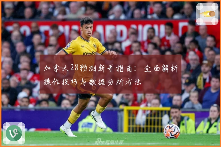 加拿大28预测新手指南：全面解析操作技巧与数据分析方法