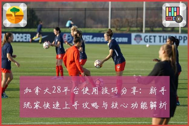 加拿大28平台使用技巧分享：新手玩家快速上手攻略与核心功能解析