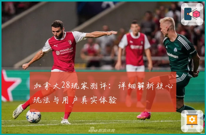 加拿大28玩家测评：详细解析核心玩法与用户真实体验