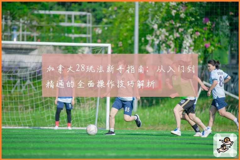 加拿大28玩法新手指南：从入门到精通的全面操作技巧解析