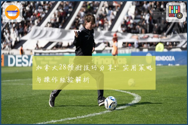 加拿大28预测技巧分享：实用策略与操作经验解析