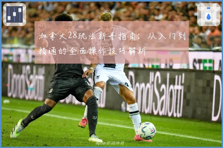 加拿大28玩法新手指南：从入门到精通的全面操作技巧解析