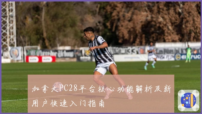 加拿大PC28平台核心功能解析及新用户快速入门指南