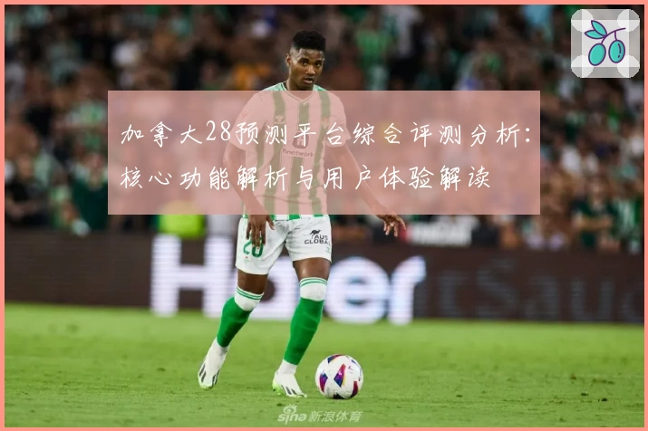 加拿大28预测平台综合评测分析：核心功能解析与用户体验解读