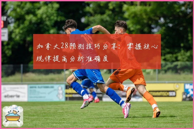 加拿大28预测技巧分享：掌握核心规律提高分析准确度