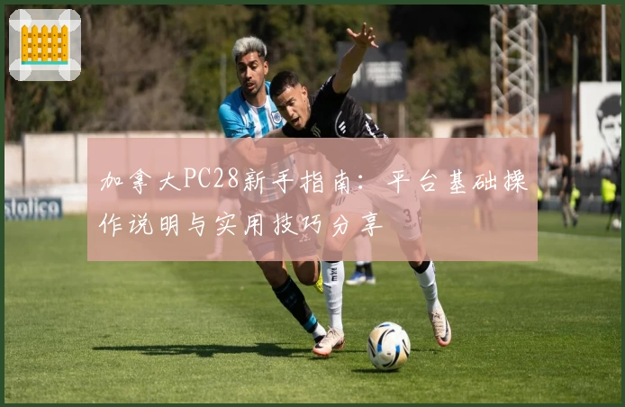 加拿大PC28新手指南：平台基础操作说明与实用技巧分享