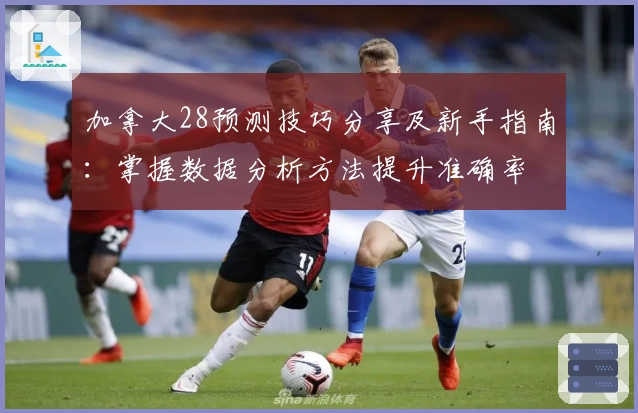 加拿大28预测技巧分享及新手指南：掌握数据分析方法提升准确率