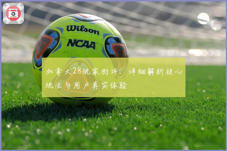 加拿大28玩家测评:详细解析核心玩法与用户真实体验