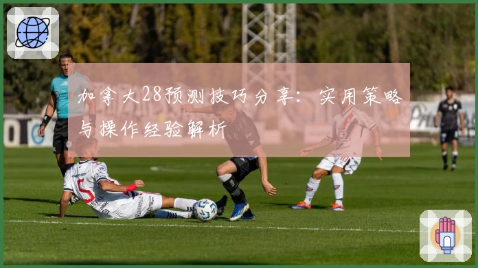 加拿大28预测技巧分享：实用策略与操作经验解析