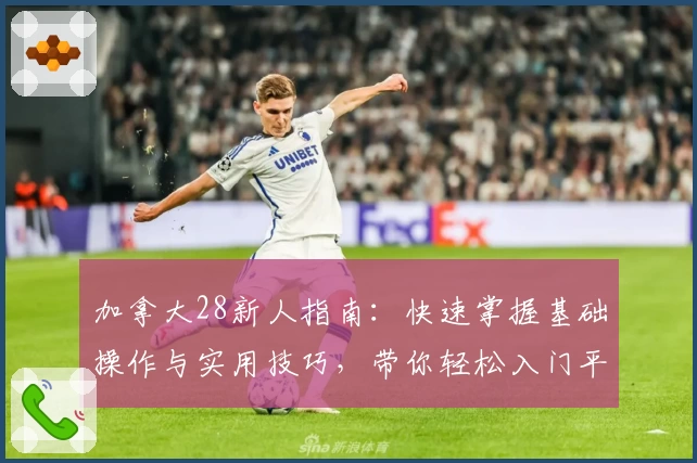 加拿大28新人指南：快速掌握基础操作与实用技巧，带你轻松入门平台核心功能