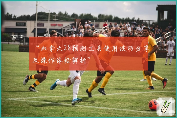 “加拿大28预测工具使用技巧分享及操作体验解析”